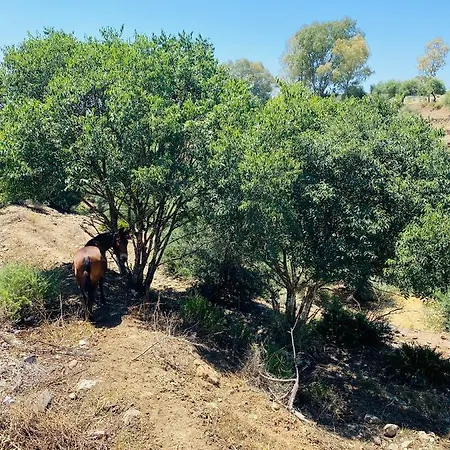 Kır Evi Vft Piedrecitas *